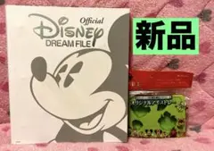 新品Disney DREAMファイル⭐️ディズニーアイストレー付❸