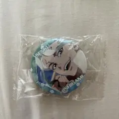 Dr.STONE 場面写缶バッジ カプセルトイ 石神千空