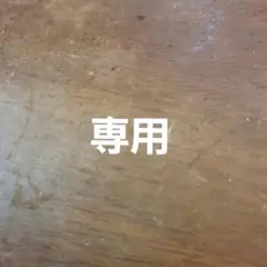 専用