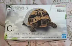 一番くじ　爬虫類＆両生類　C賞　ヘルマンリクガメ　1番くじ