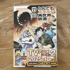 とんでもスキルで異世界放浪メシ　11巻