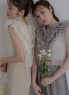 jumelle situation tulle vest オケージョン