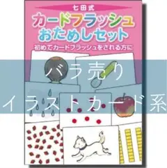 七田(しちだ)式カードフラッシュ 絵カード60枚 フラッシュカード
