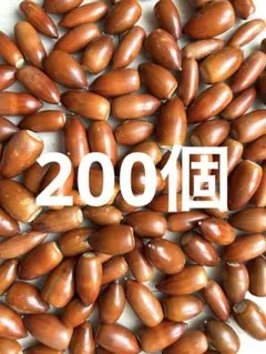 Item thumbnail for item a9a674dd-4820-4376-aef3-7f38c642f034