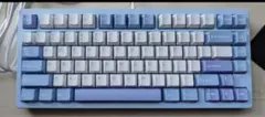 Rainy75 キーボード Proモデル 上から取り外したのキーキャップ