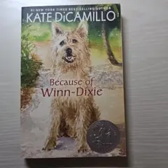 Because of Winn-Dixie - Kate DiCamillo