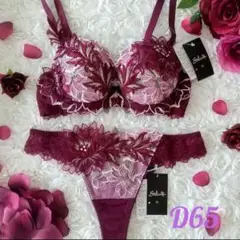 サルート♥52G オアシス D65 ソングM WI