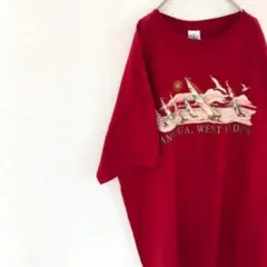 USA古着 antigua オーバーサイズ Tシャツ