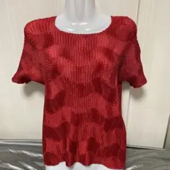 東京三恵　カレントルック　赤プリーツ加工　 リブトップス