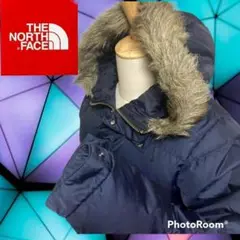表参道ヒルズ限定 ノースフェイス VINTAGE DOWN PARKA M