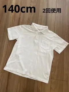 Item thumbnail for item 418a746e-06f4-4aa2-9c56-fe1d528611f0
