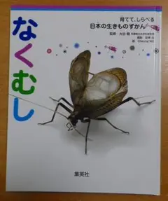 育てて、しらべる 日本の生きものずかん 11 なくむし