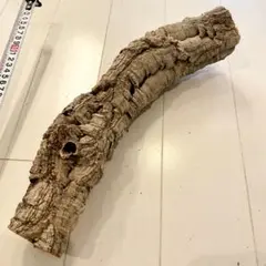 Item thumbnail for item 083b299e-5b0a-4c87-a238-53c97c279537