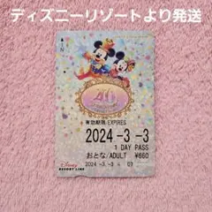 ディズニーリゾートライン フリー切符 使用済み 40周年 グランドフィナーレ