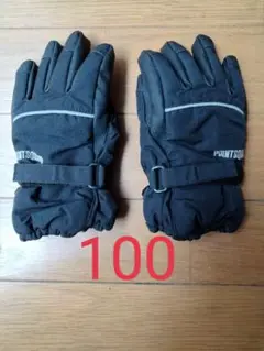 スキーグローブ 100cm