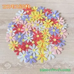 クラフトパンチ　コスモス　50枚　秋　グリーティングカード　アルバム　お花