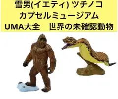 2025年最新】カプセルq umaの人気アイテム - メルカリ