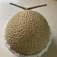 食品サンプル　マスクメロン