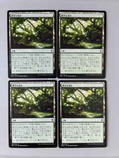 MTG 肥沃な茂み　日本語　4枚