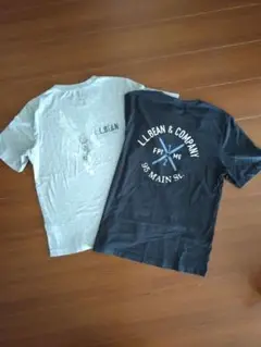 L.L.Bean & Company Tシャツ 2枚セット