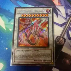 遊戯王 セイヴァーデモンドラゴン 1枚