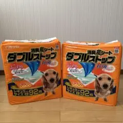 Item thumbnail for item 5a0765e9-6937-4000-b3d1-ef7f720dddd5