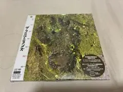 ザ・クロマニヨンズ 1st 未開封品