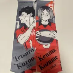 ハイキュー黒尾鉄朗・孤爪研磨 ミニタペストリー