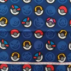 ポケモン(1)