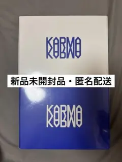 STRAY KIDS KARMA 新品未開封 通常盤 2種セット