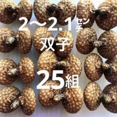 Item thumbnail for item 3c5626cc-cf56-4c41-a3d7-511a2fb5d532