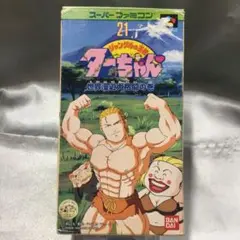 ⭐SFCソフト ジャングルの王者ターちゃん 世界漫遊大格闘の巻