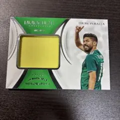 Item thumbnail for item 5e5f8139-bb94-47ce-a489-ccd7049d2ff6