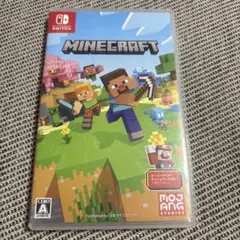 Minecraft Nintendo Switch版