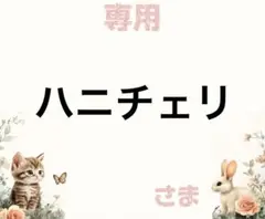 専用