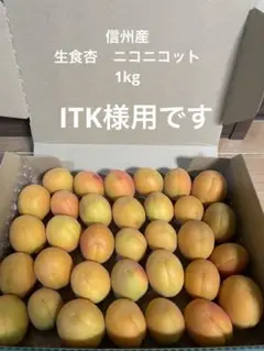 CocoRo♡farm 新鮮な杏（ハーコット）5kg（2kg〜承ります） CocoRo♡farm 新鮮な杏（ハーコット）5kg（2kg〜承ります