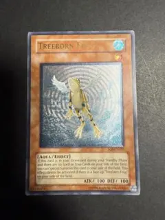TREEBORN FROG黄泉ガエルレリーフ 旧アジアBGS9.5【極美品】 TREEBORN FROG黄泉ガエルレリーフ 旧アジアBGS9.5【極美品