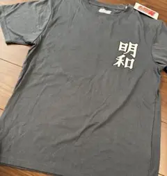 即完売品 超激レア キャプテン翼 明和FC 日向小次郎 Ｔシャツ 背番号10