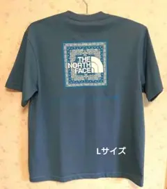 ノースフェイス THE NORTH FACE Tシャツ Lサイズ