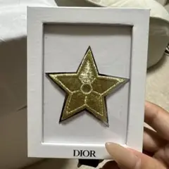 Dior ブローチ