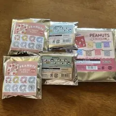 SNOOPY シークレット小物 ５点セット シュシュ ヘアピン 巾着