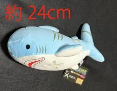 Item thumbnail for item 48b1b6c6-06e1-462d-99de-51eeb3c2ac60