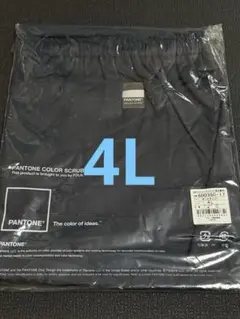 Item thumbnail for item 72ca0cc2-8747-4898-bb14-a90b65fbb3fd