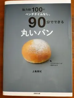 強力粉100gベンチタイムなし 90分でできる丸いパン