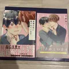 高嶺の花に脅されています コミコミ小冊子付き