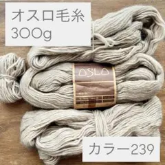 t097 毛糸 オスロ OSLO カラー239 計300g 編み物 知育 工作