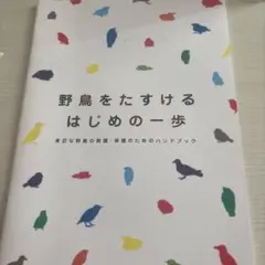 野鳥をたすけるはじめの一歩