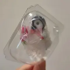 シルバニアくじ