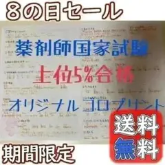 【国家試験対策に！】薬剤師国家試験対策★ゴロプリントA5 全14ページ☆
