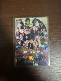 RIZIN ポテト スティック スナック 超RIZIN2 No.21